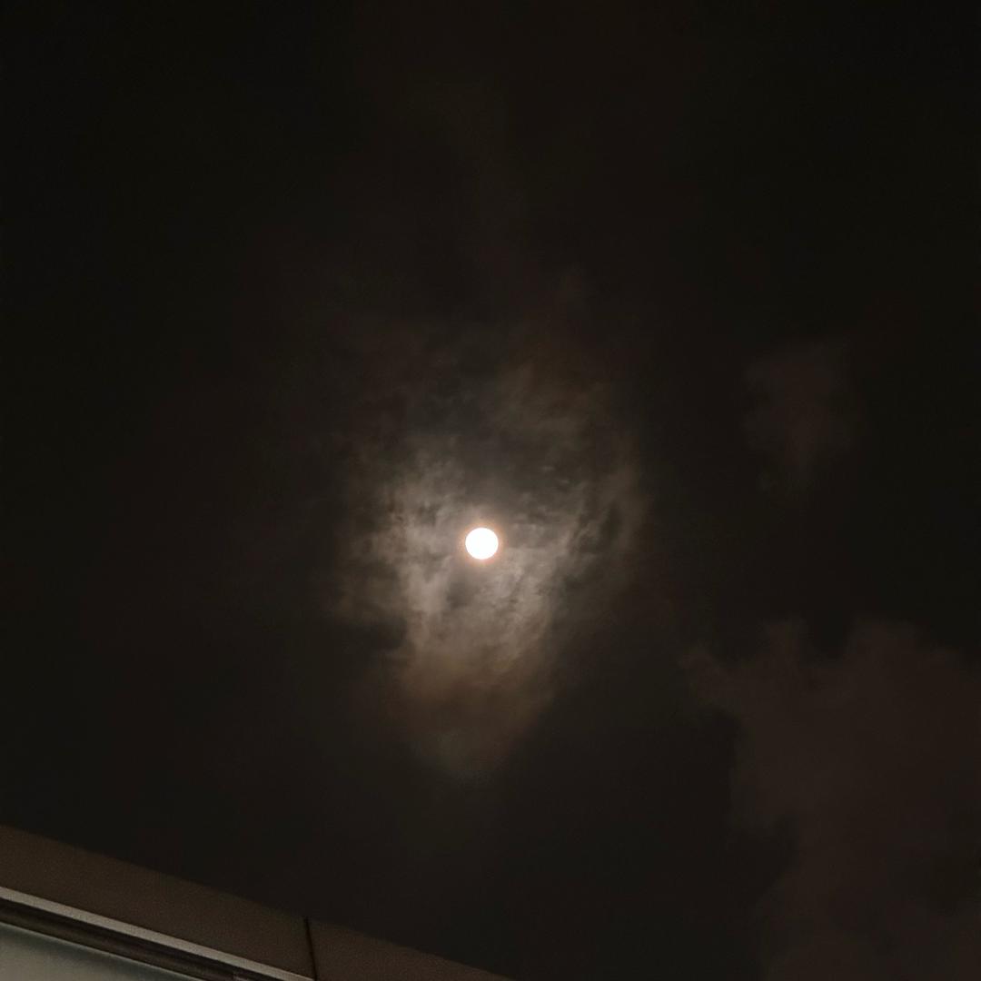 旺仔十七