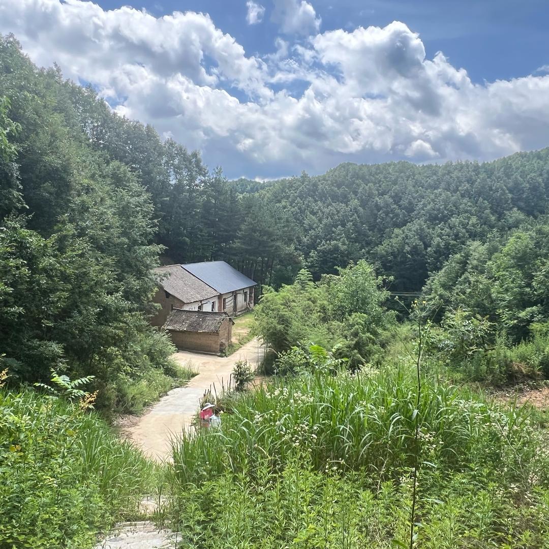 山居草堂｜明真