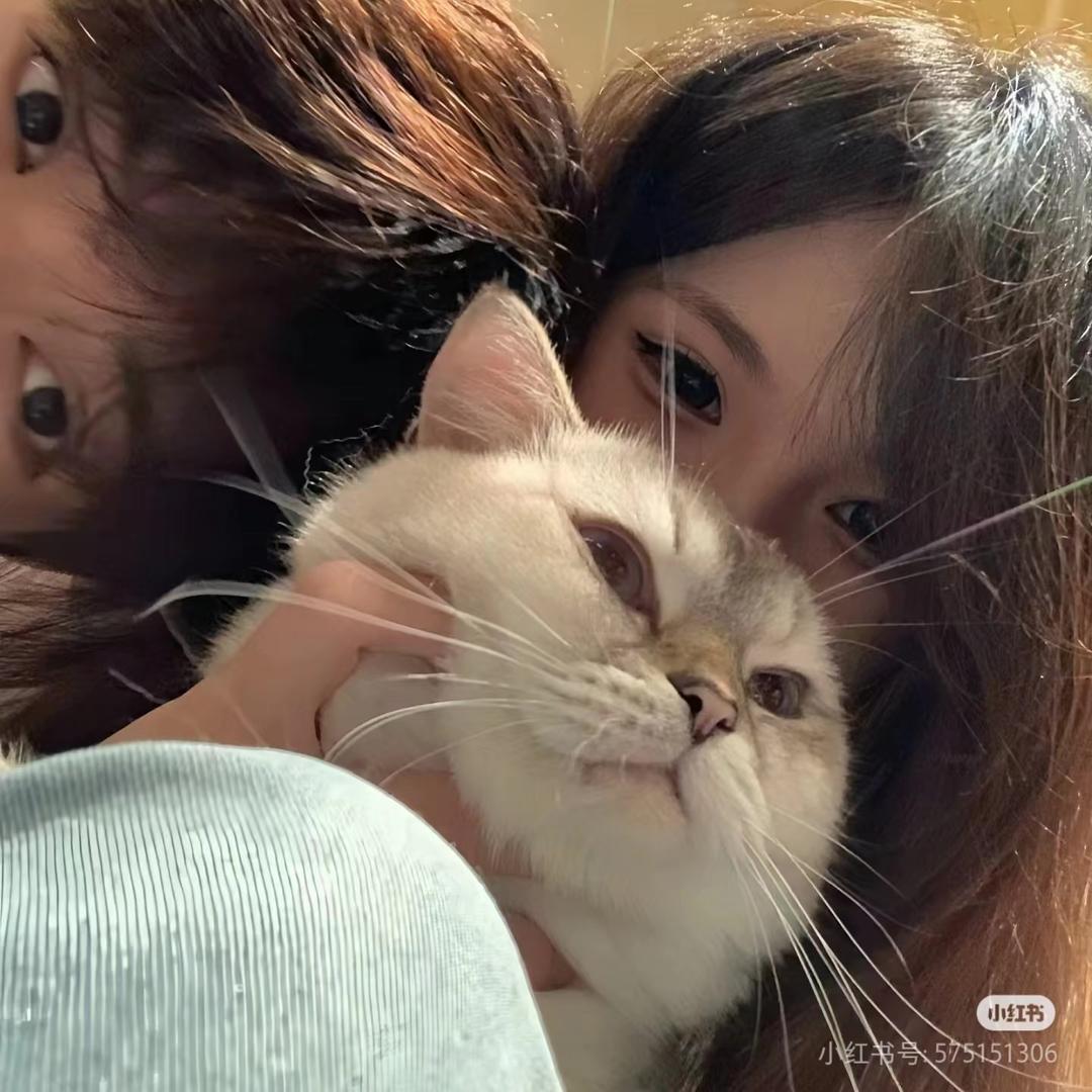 丿大·魔·王