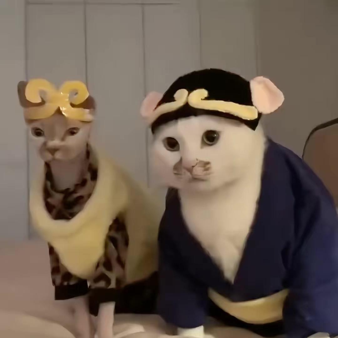 壮壮1v1