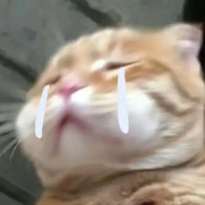 迪迦子！🌈🌈