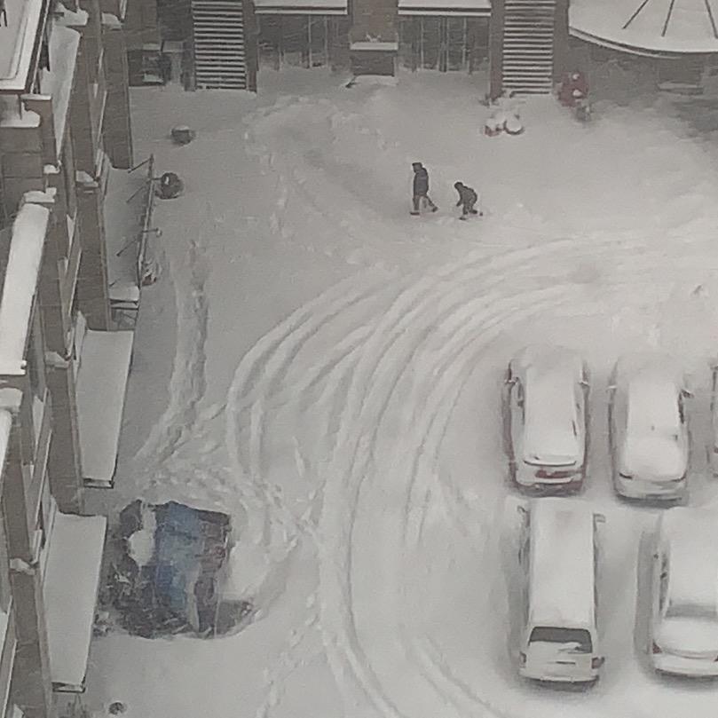 奥德彪（天之蕉子）