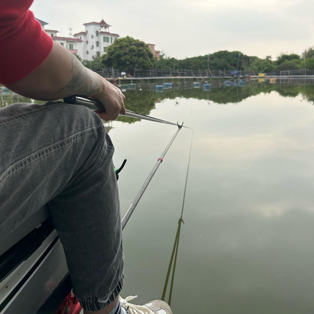 初学者钓黑坑不动