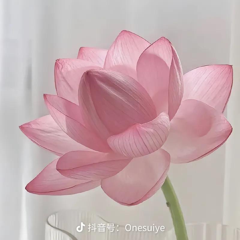 小徐小徐！