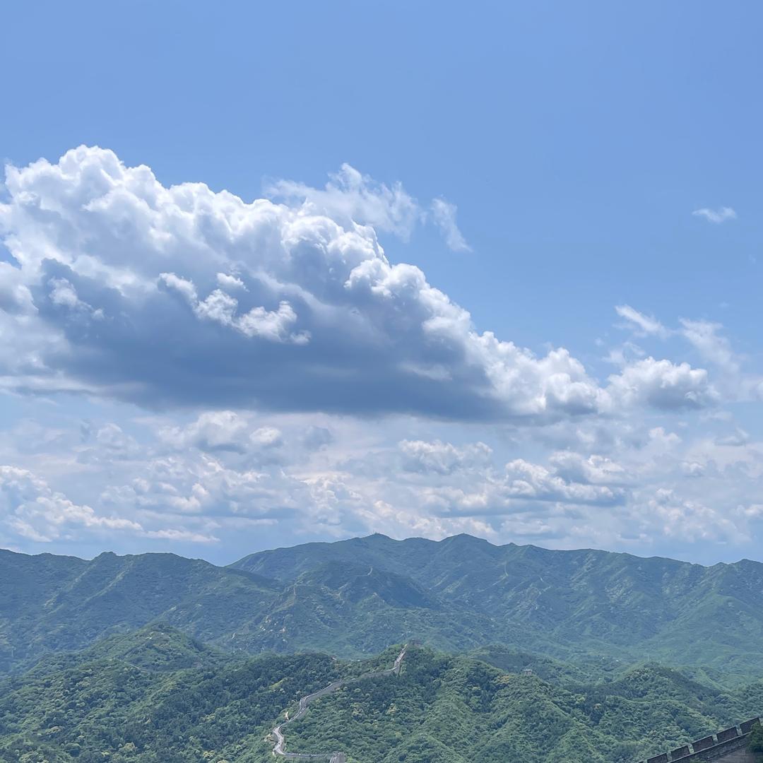 伟总