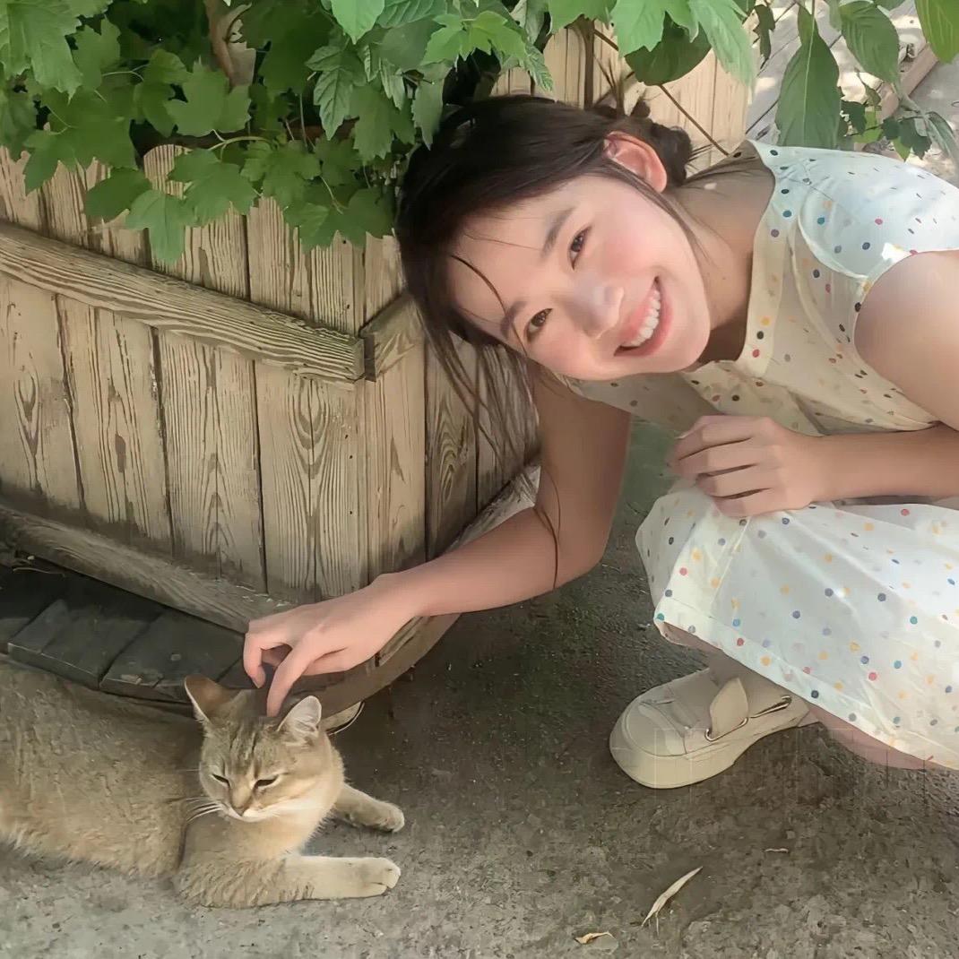 小岛（打劫版）