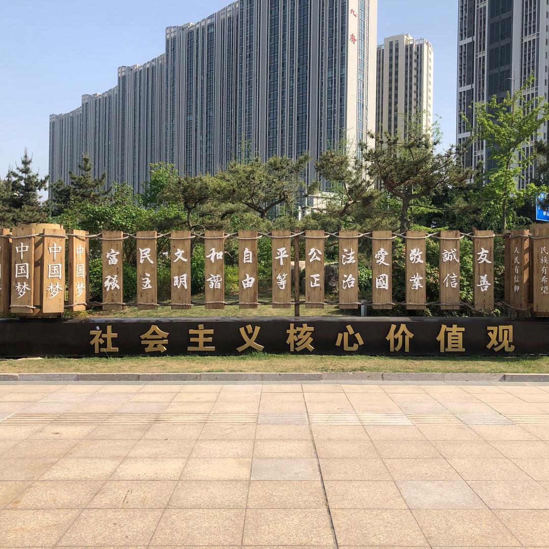 向阳花🌻