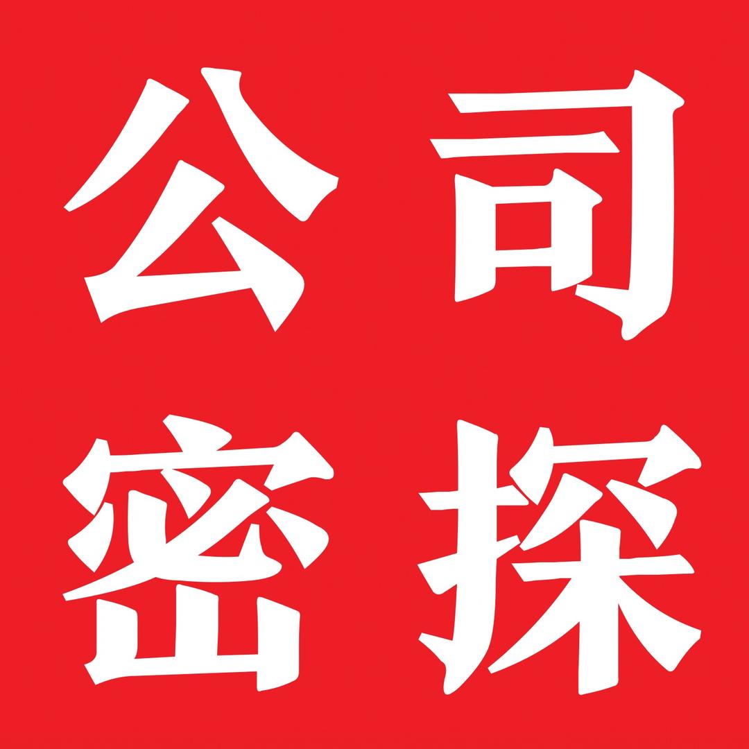 公司密探