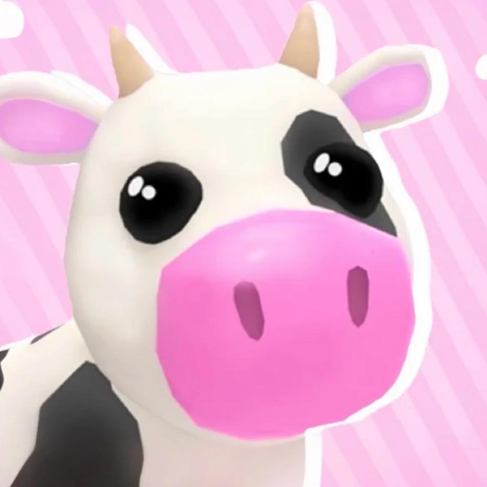 ʚ✞硝酸盐₊⁺ʚ✞