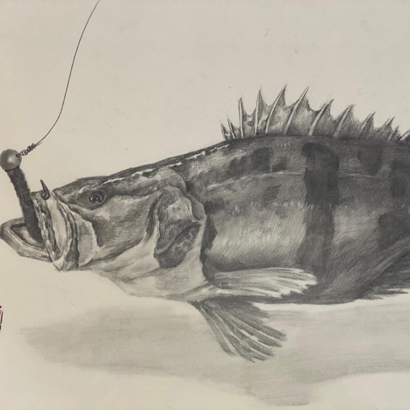 轻量化路亚创改工作室