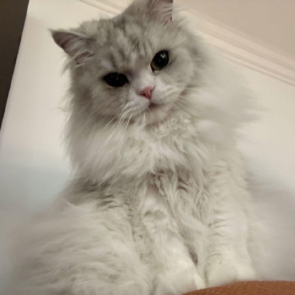 陪自己岁岁年年