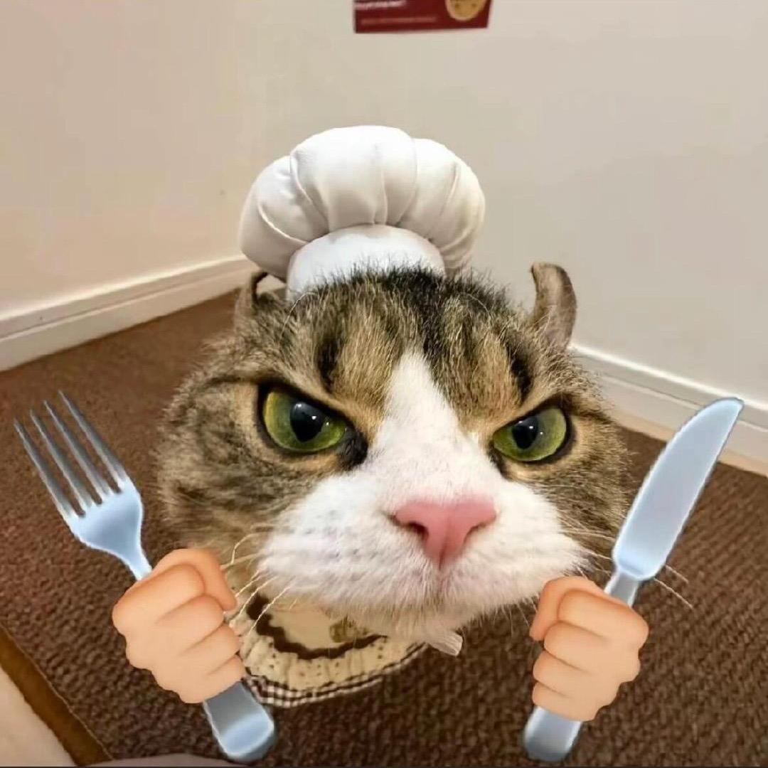 你是不是油猫饼_