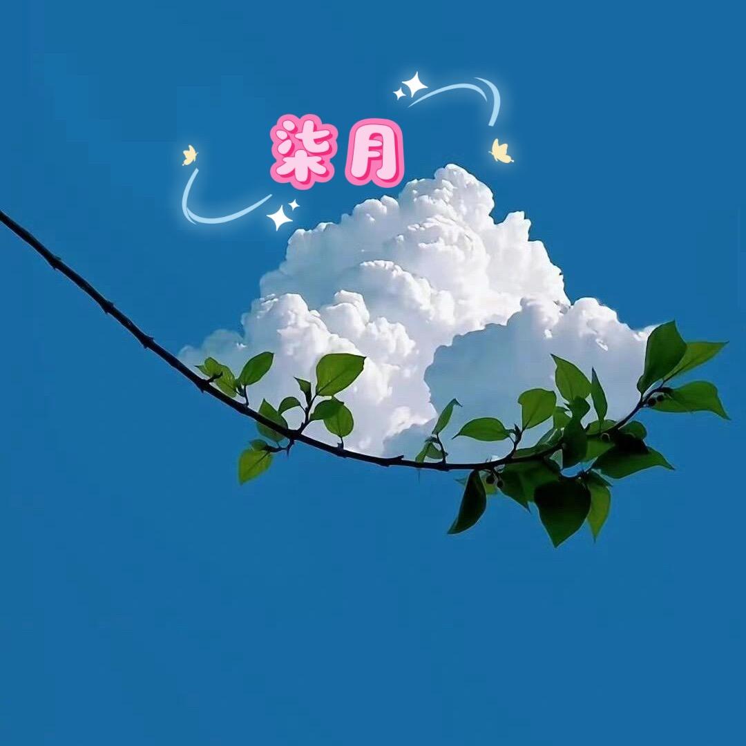 柒月&生活记录