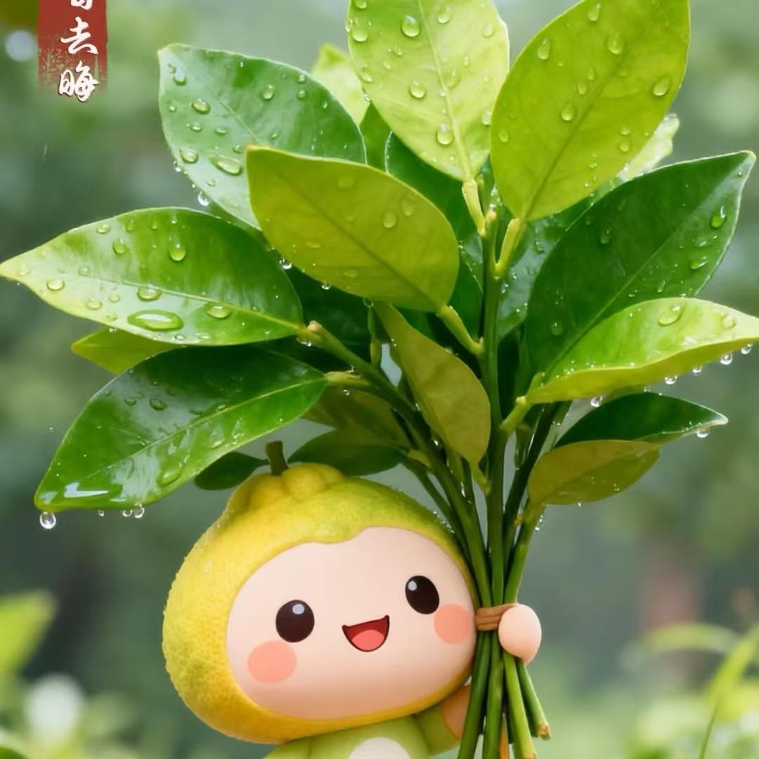 锦鲤附体的小妹纸👧🏻