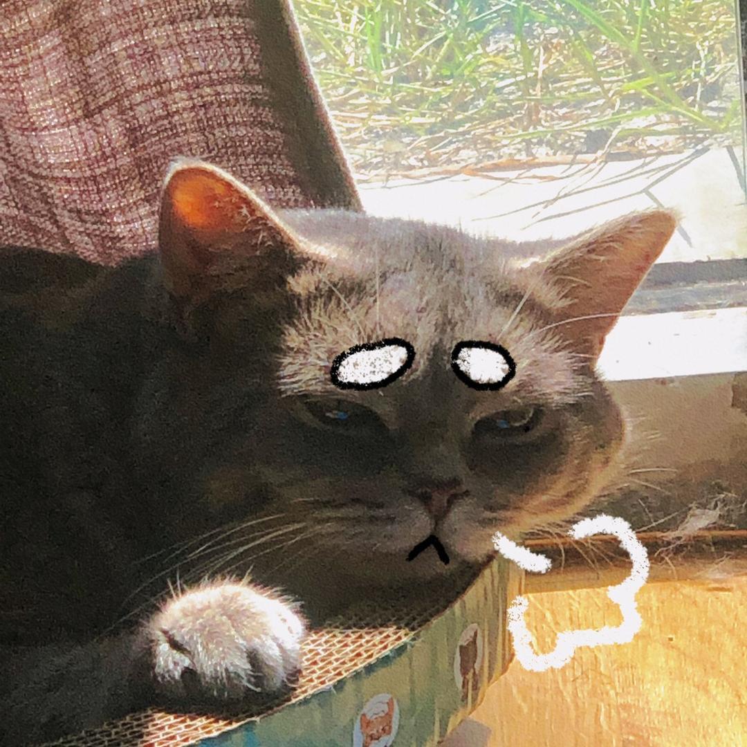 老子今天不上班（这辈子都不想上班版本）