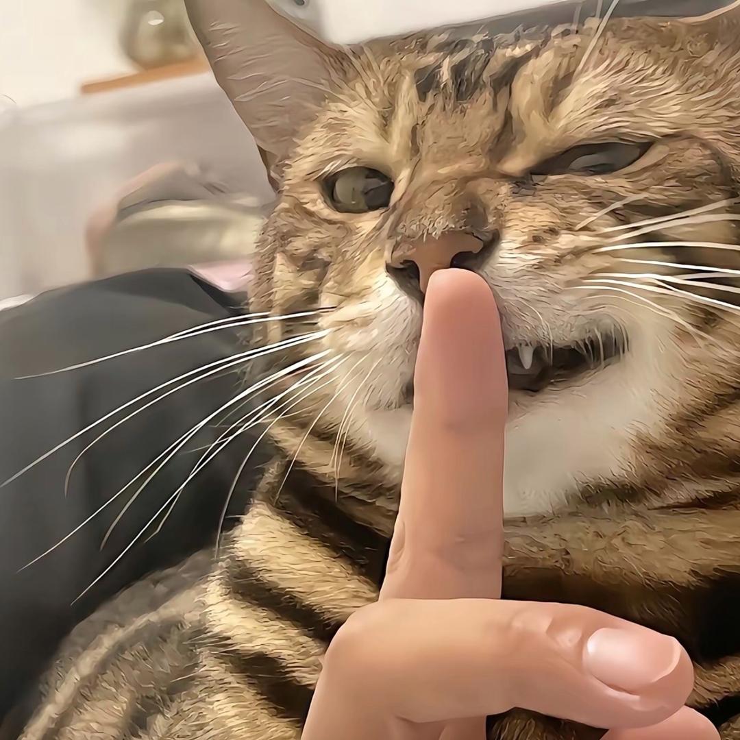 臻兹