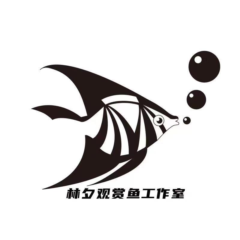 林夕观赏鱼