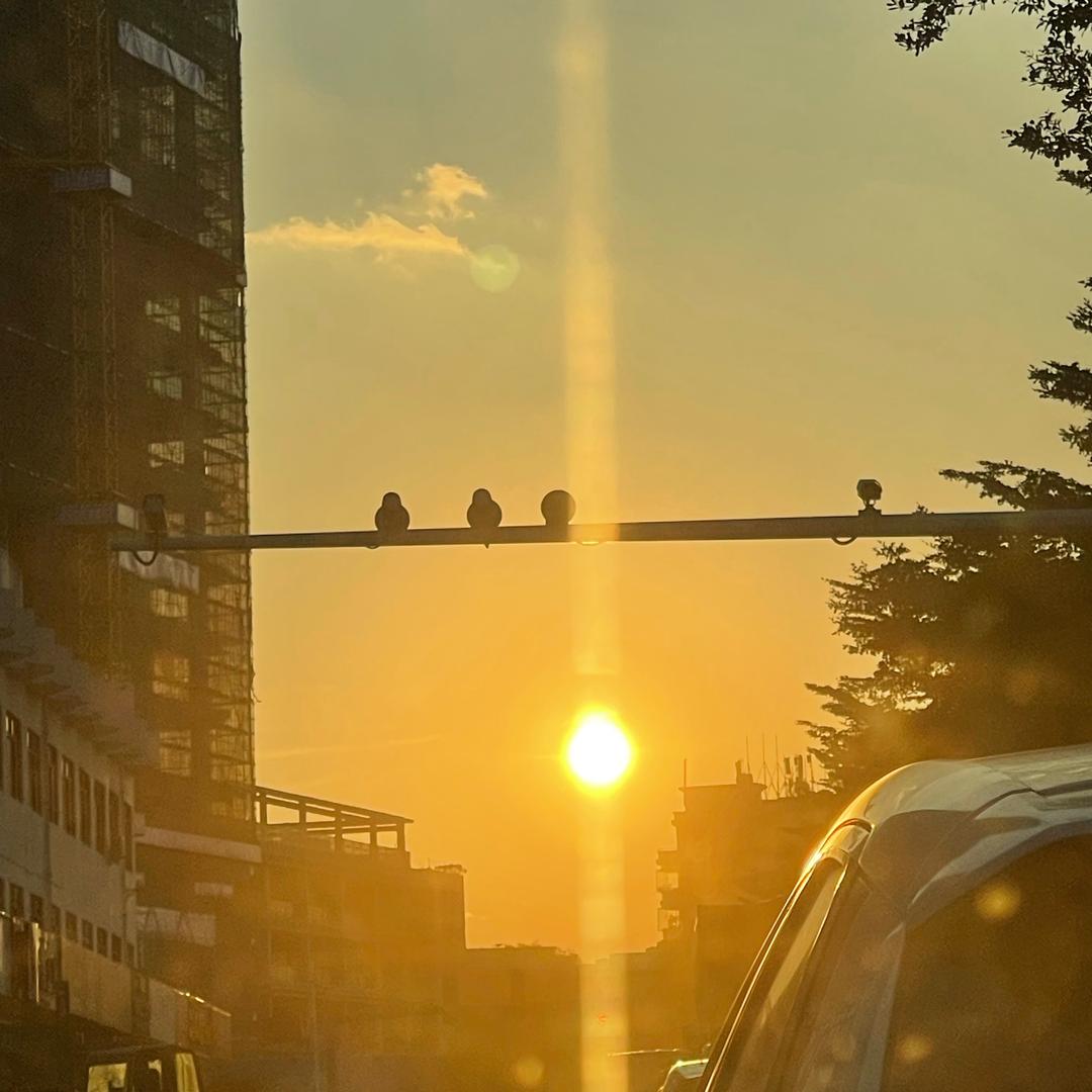 我们永远风华正茂