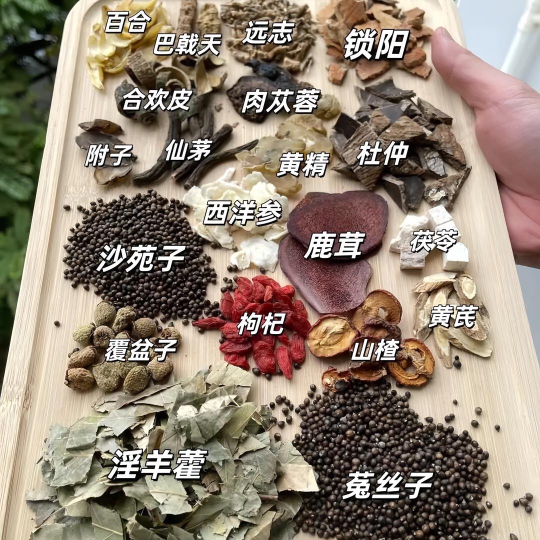 雄健能量库