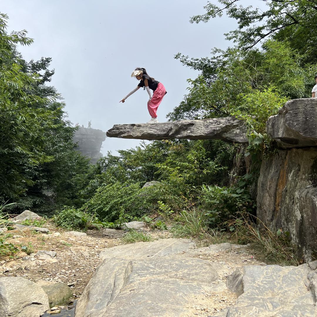 龙行天下海风送爽