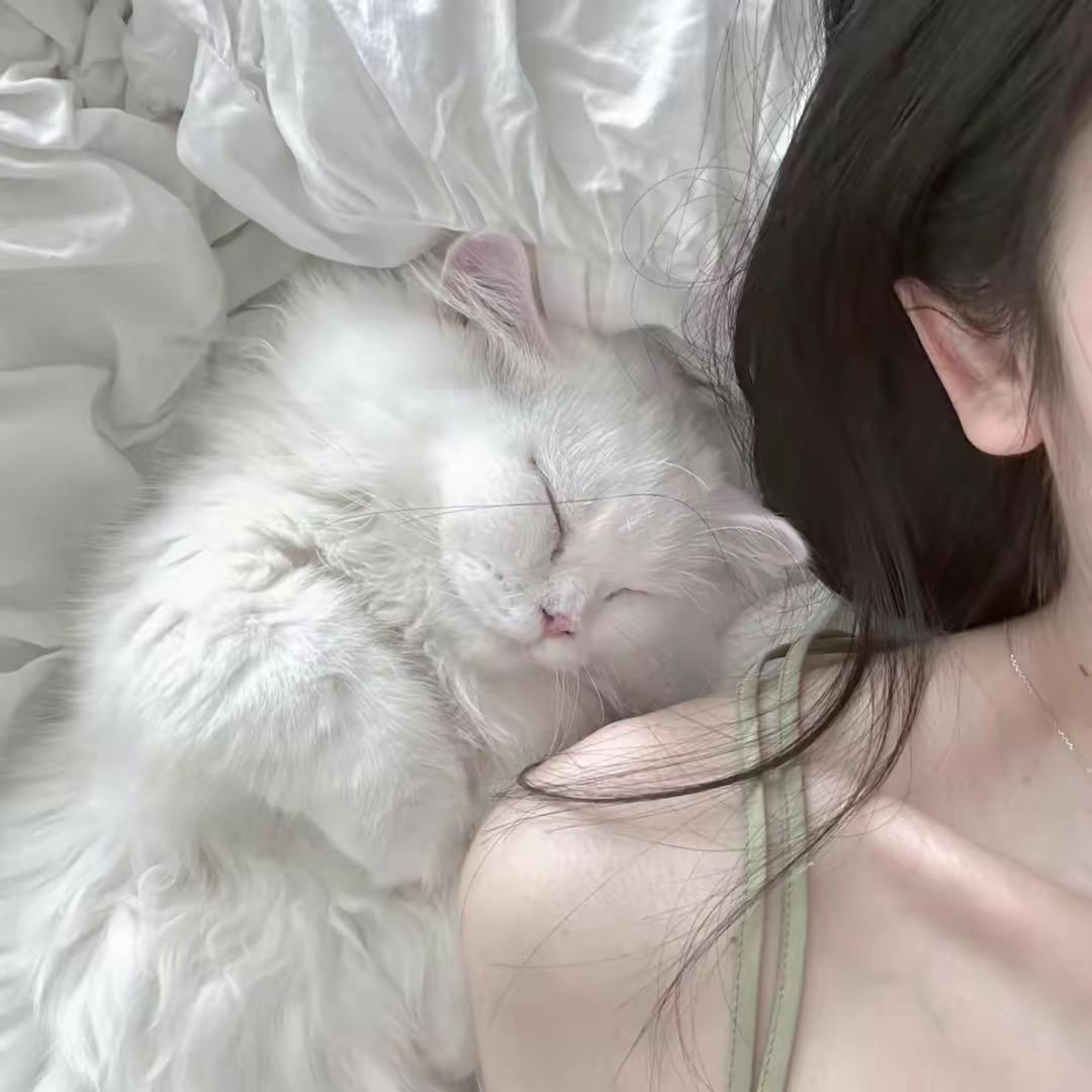 ʚ 🐯ིྀ ɞ