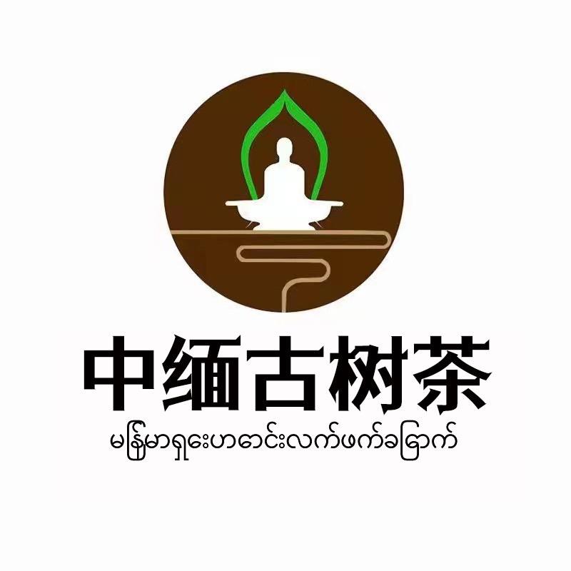 中缅边境源头收茶(八塔茶叶)
