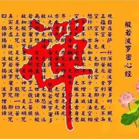 🪷梵心如素🪷