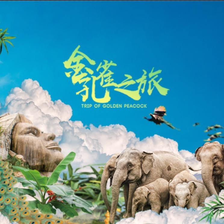 云南金孔雀旅游集团-
