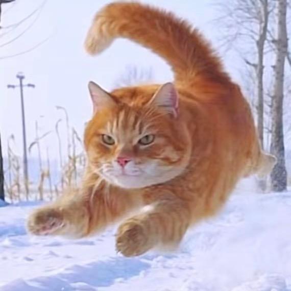 辣条味的酸菜鱼