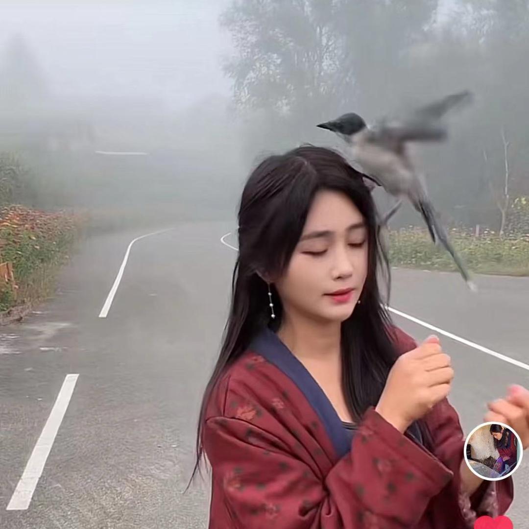 菜菜日常（小动物版）