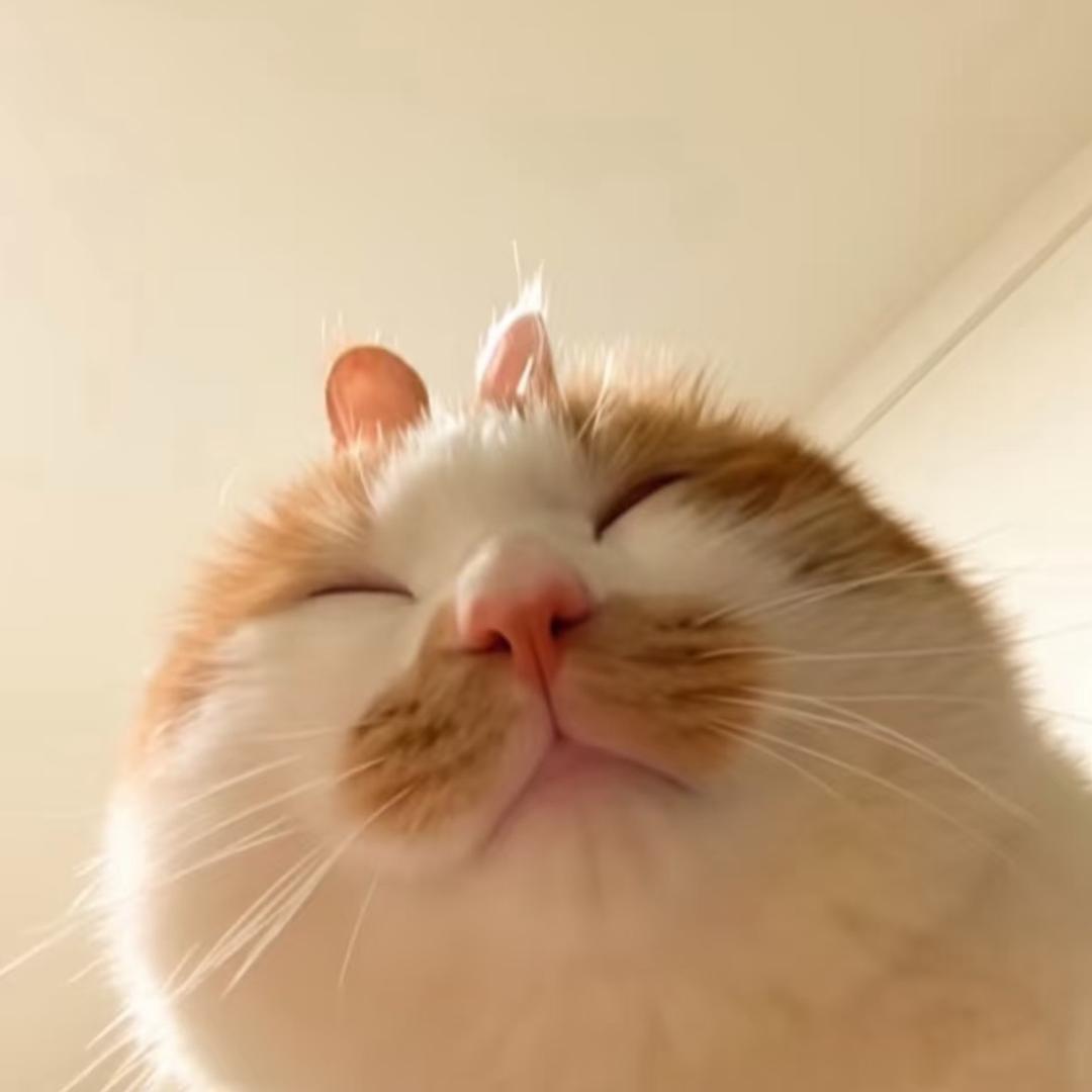 7^