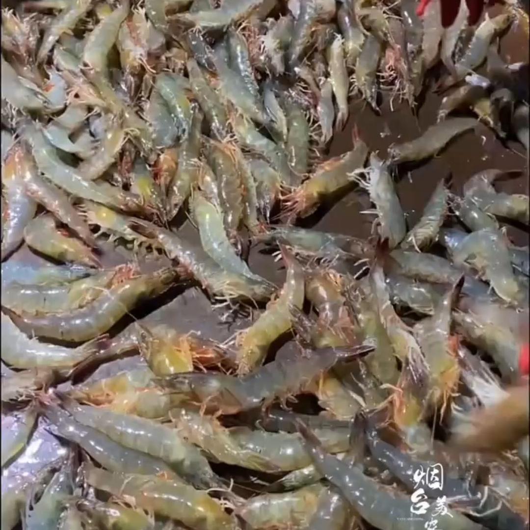 轩轩海鲜好友趣