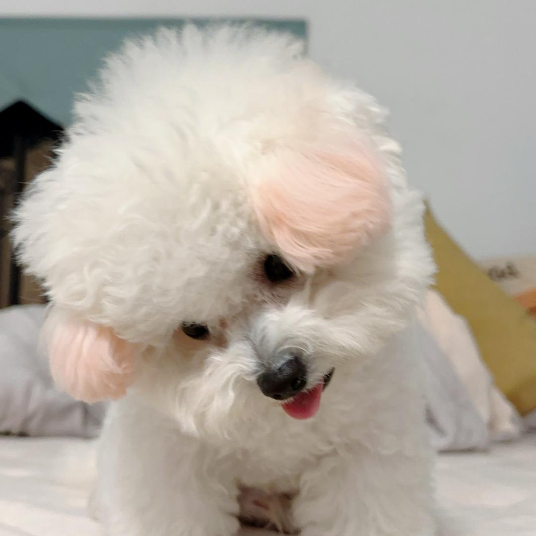 呼啦呼啦的头像