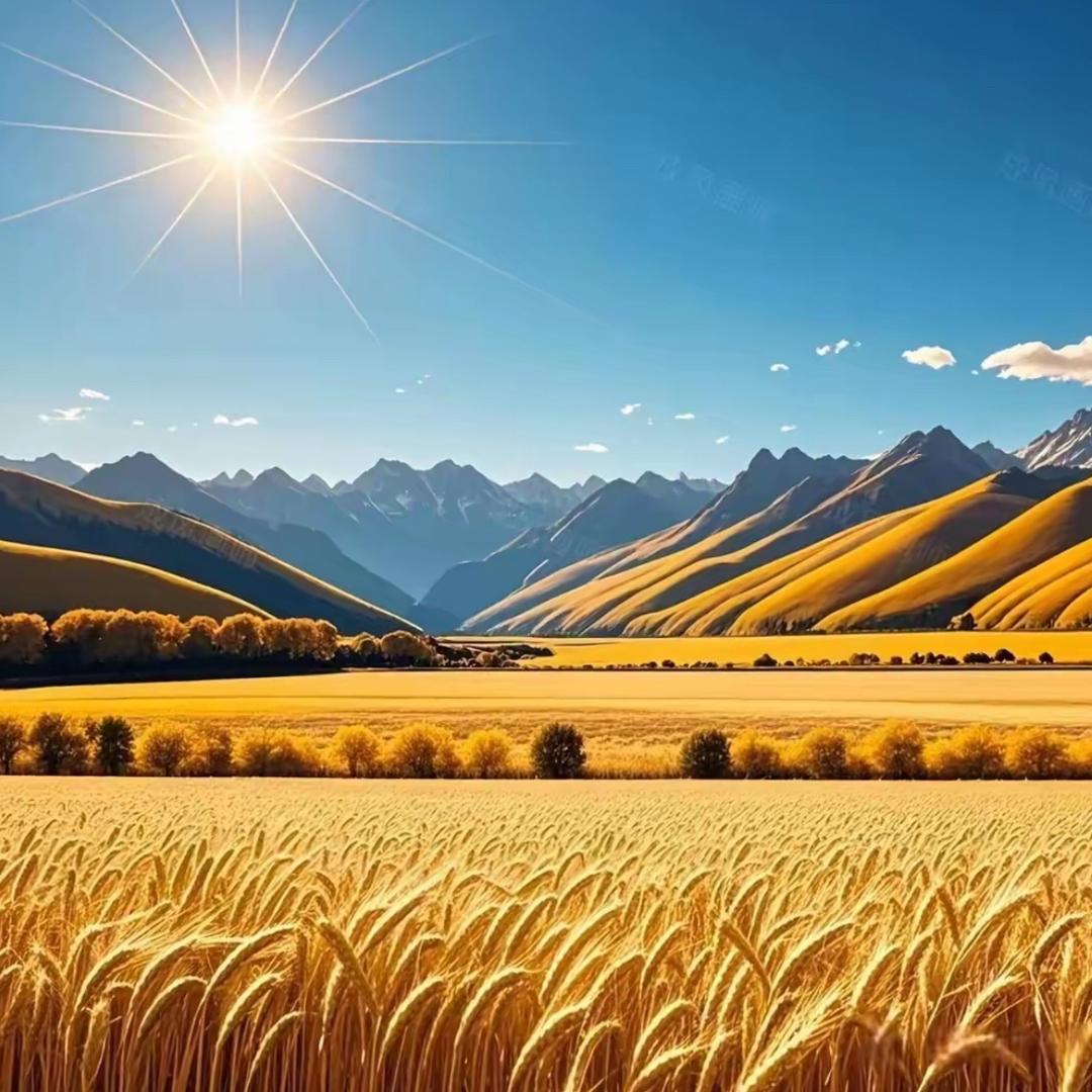 汪氏商贸（4575）