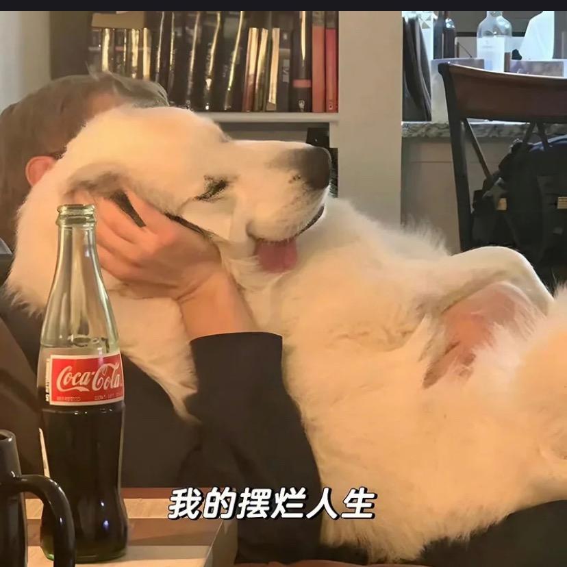 张鱼🌈小汤圆