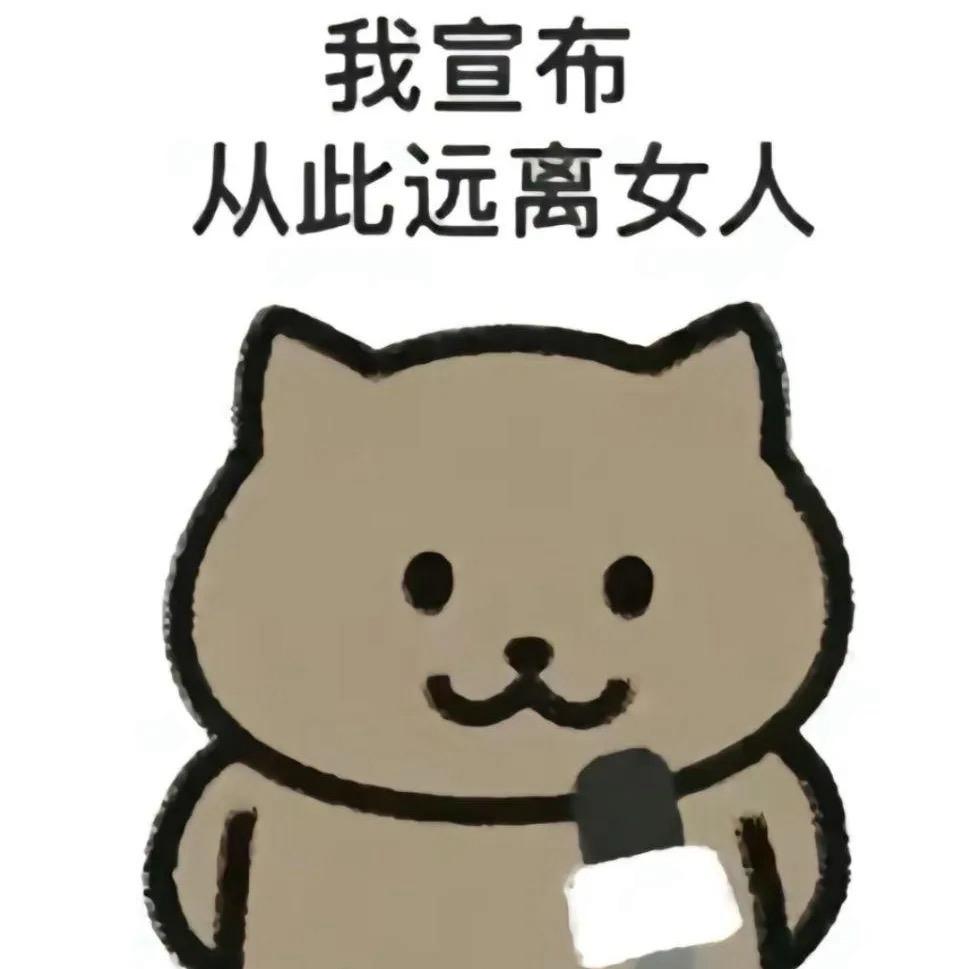 喜欢最美的女人