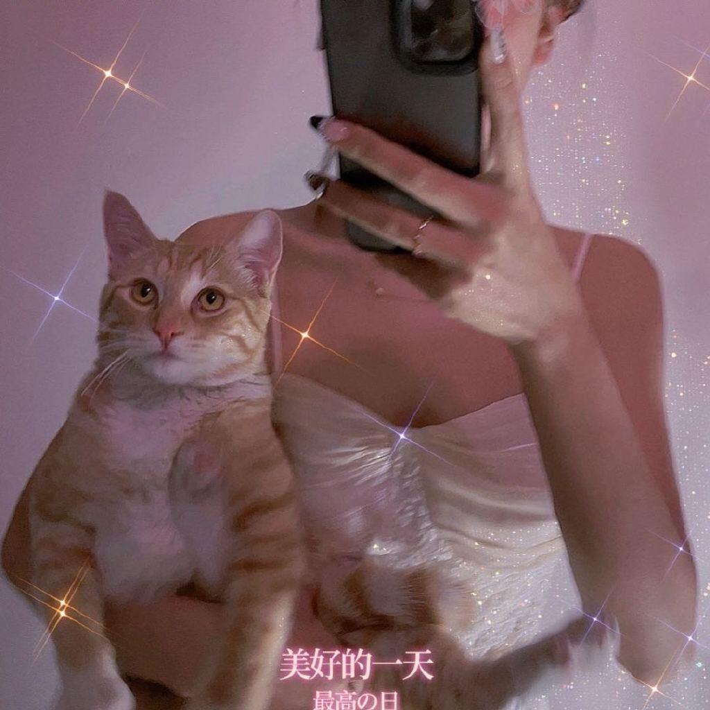 仙女山的月亮🌙（辅食中）