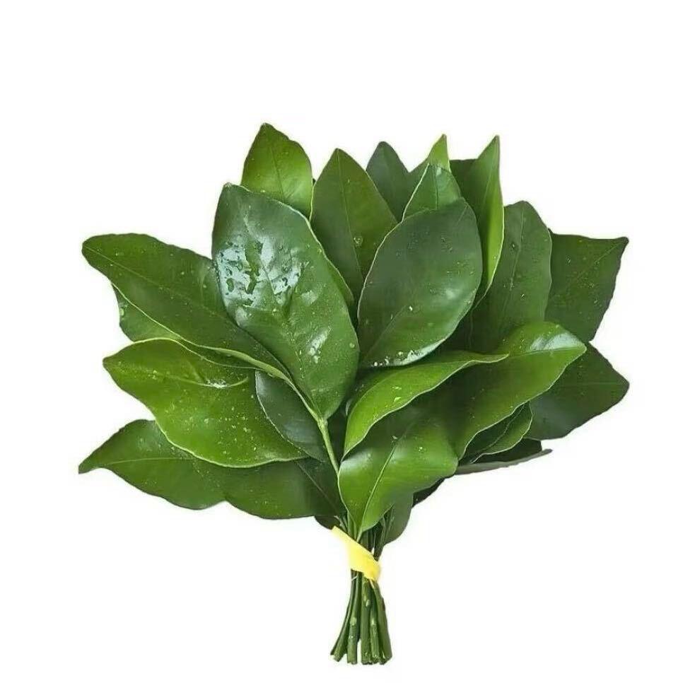 小杜.