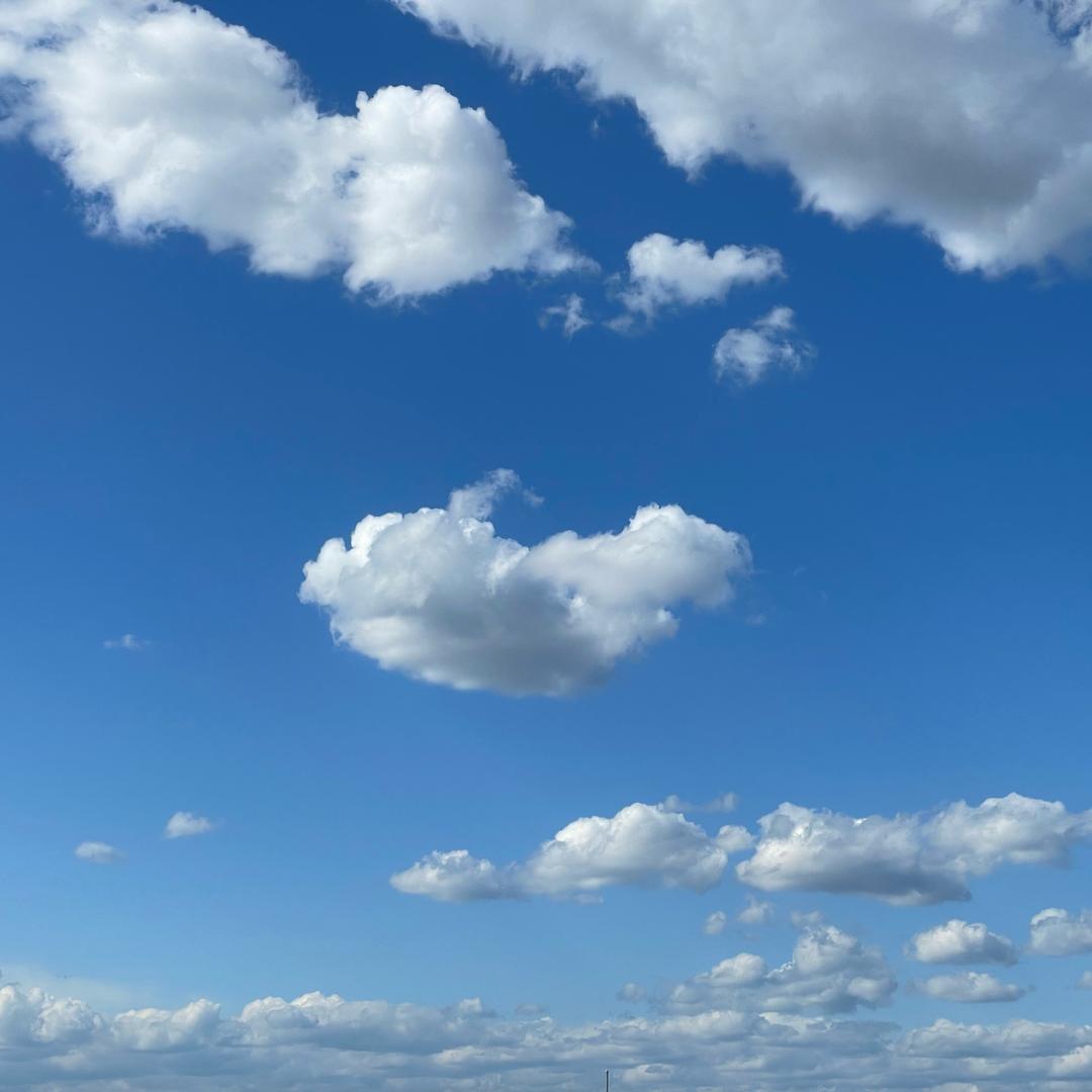 职业规划夏老师