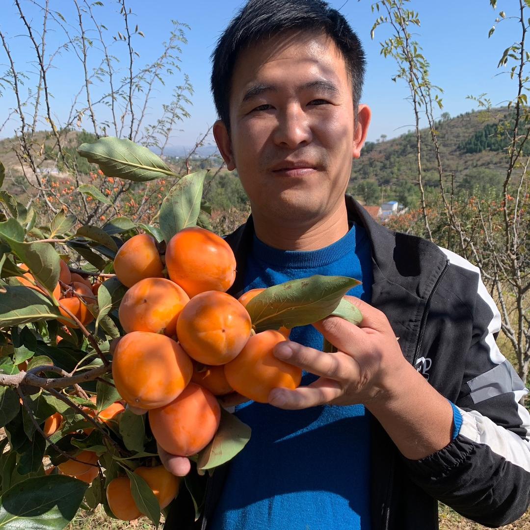 占波的家乡特产