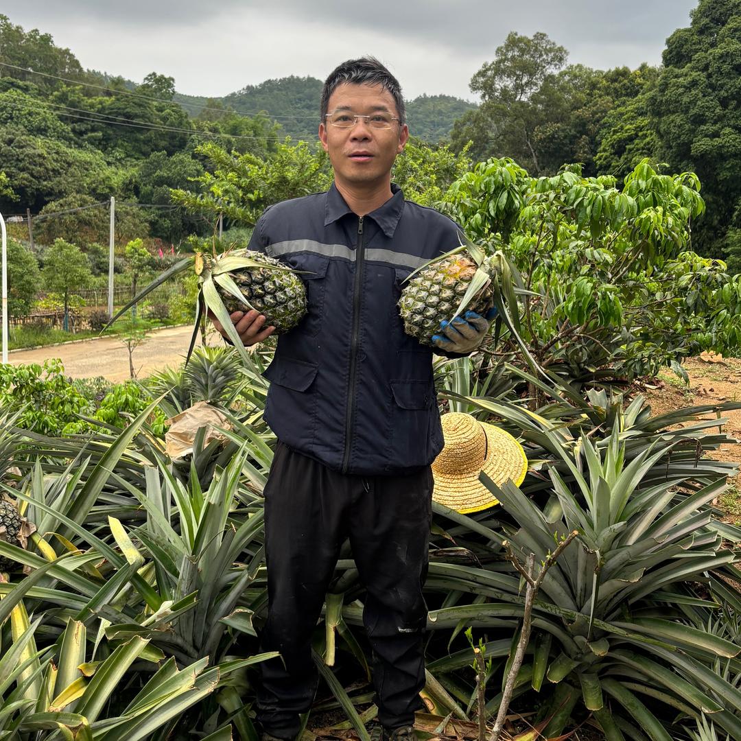 农村小哥