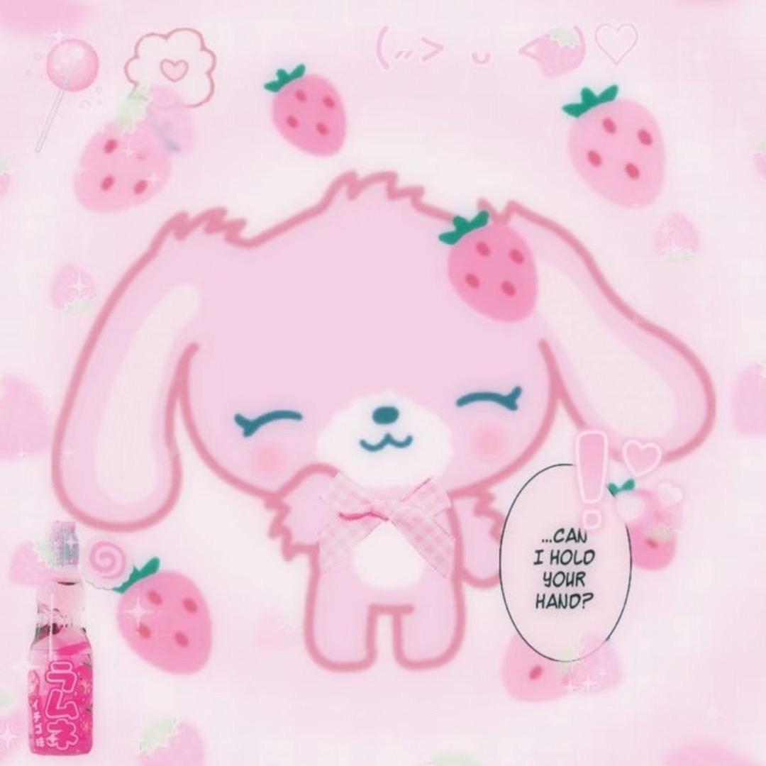 小哲xz