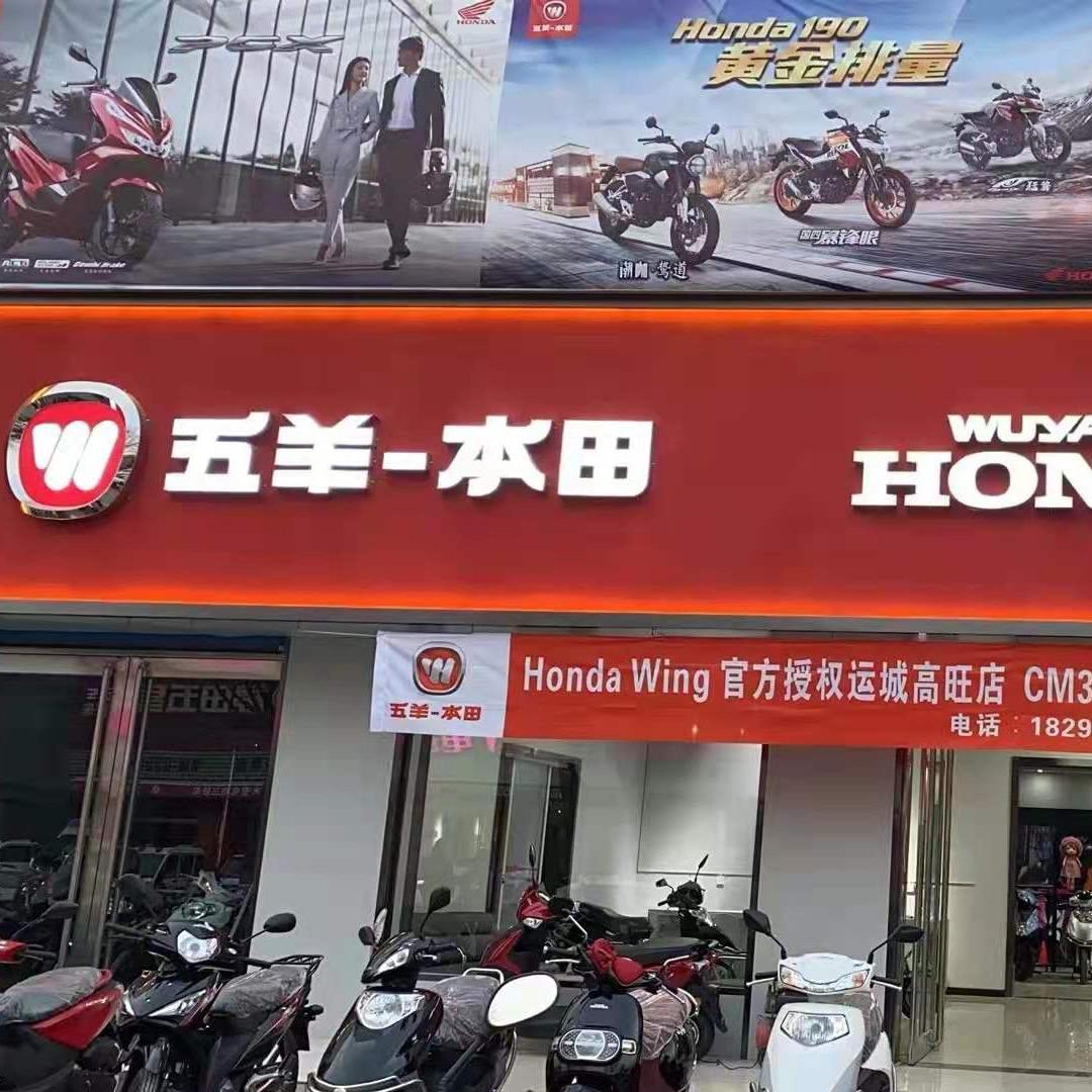 光头强女子婚庆车队🚗五羊-本田