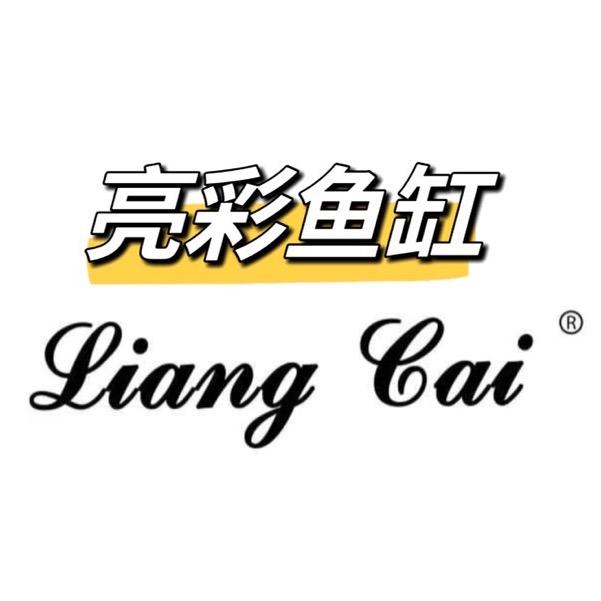 亮彩水族鱼缸厂家