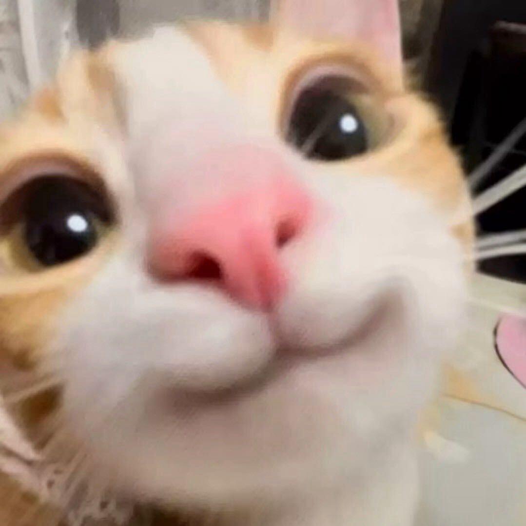 小  南