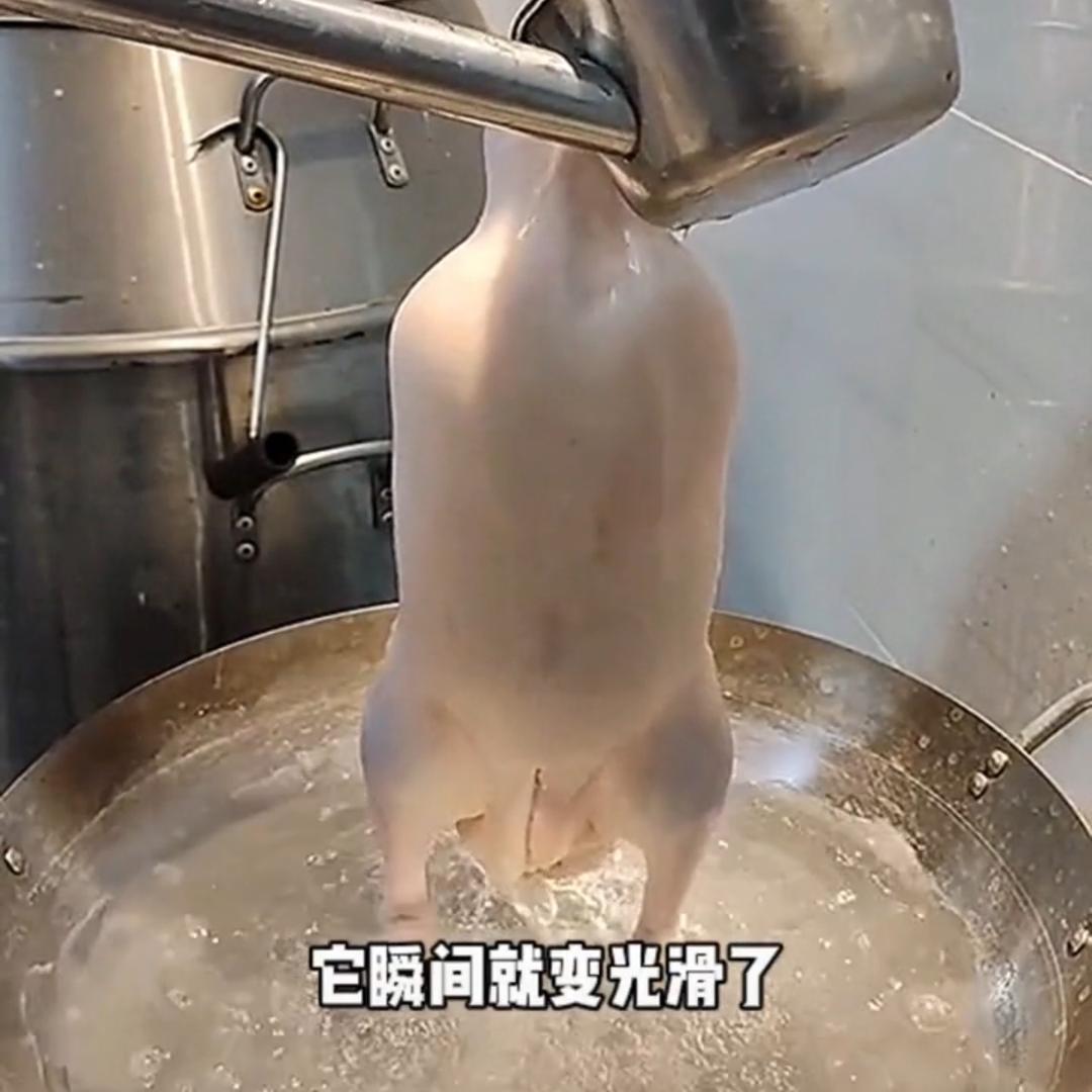 北京天外天烤鸭鹏宏事件