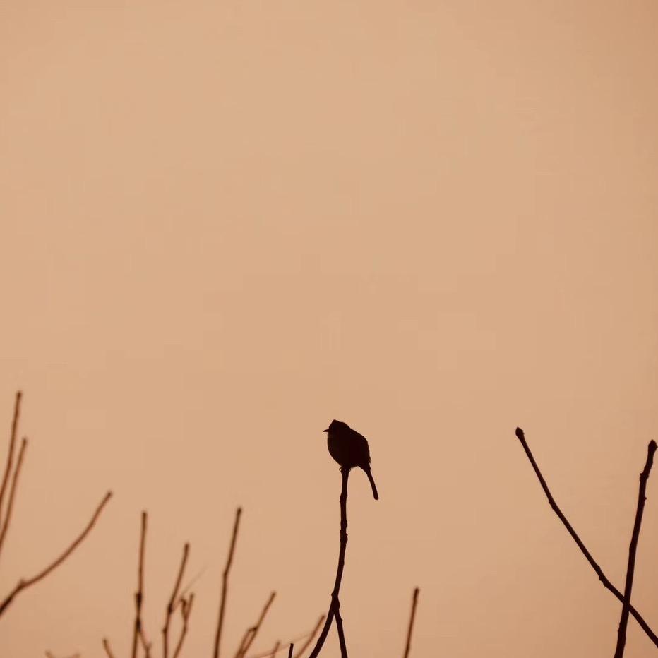 Pure stillness7