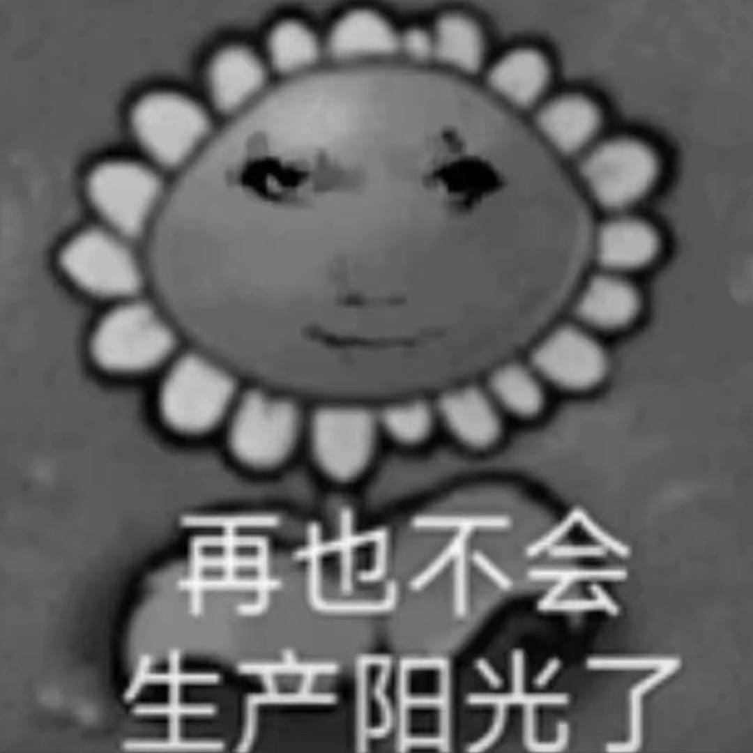 灰灰o