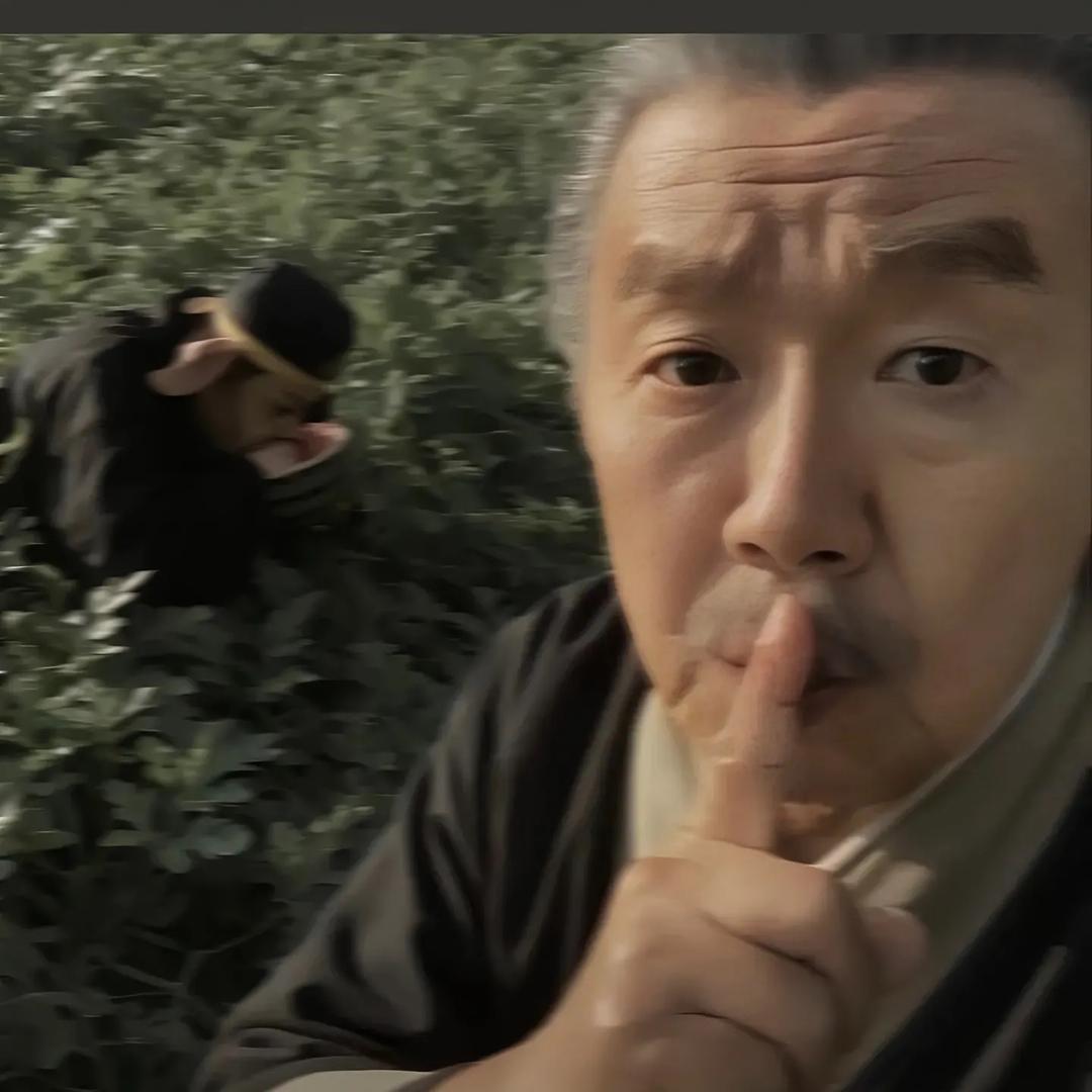我行我素.