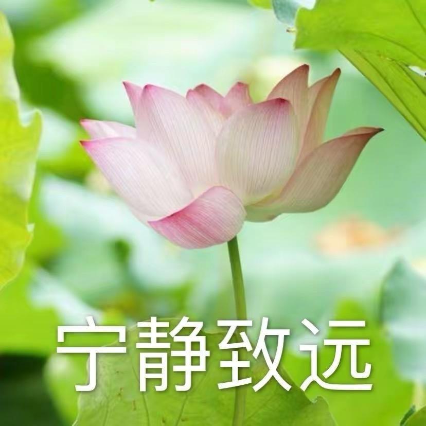 Hello雯雯
